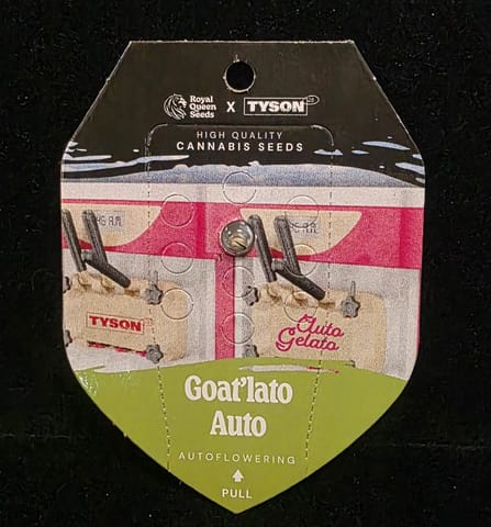 Auto Flowering Seeds - Goat'lato Auto (Royal Queen x Tyson 2.0)