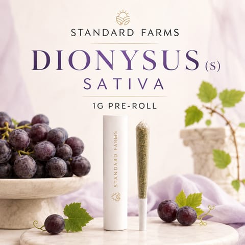 Dionysus (S) 1g Pre Roll