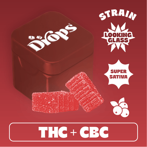 Cranberry 100mg 1:1:1:1 (Drops)