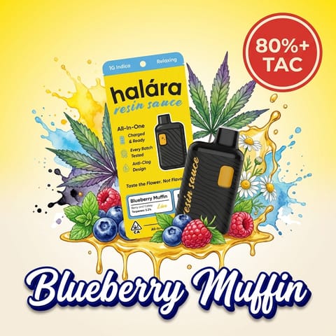 Halara Blueberry Muffin Live Resin Sauce AIO 1g