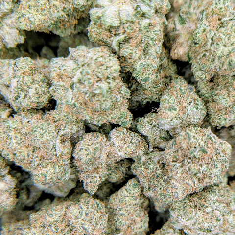 Pineapple Whip - Deli Flower - $5/g
