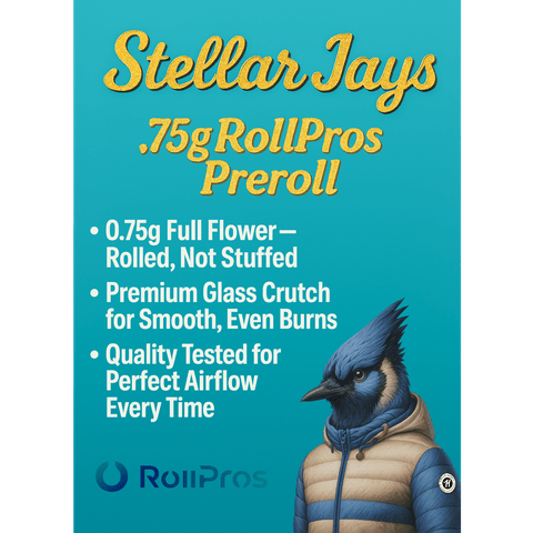 Black Cherry Lemonade (0.75g) RollPros Stellar Jay Single by Herb's Garden