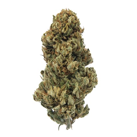Maggie's Farm | Popcorn | Chemodo Dragon | H | 28g