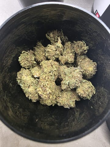 Cannaflo Farms | Flo's CBD
