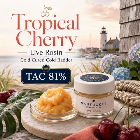 Tropical Cherry '26 Live Rosin - 1G