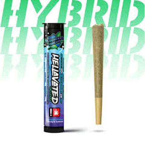 Blueberry Dream Infused Preroll (Hellavated)