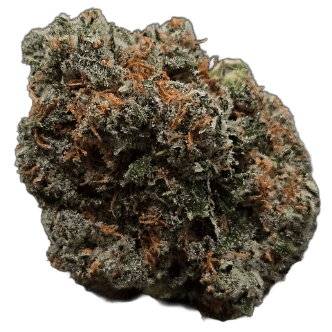 FLOWER | COCONUT CREAM | SATIVA DOMINANT HYBRID | 1 GRAM