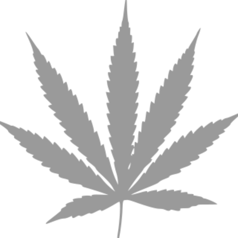 OCB 1 1/4 Papers