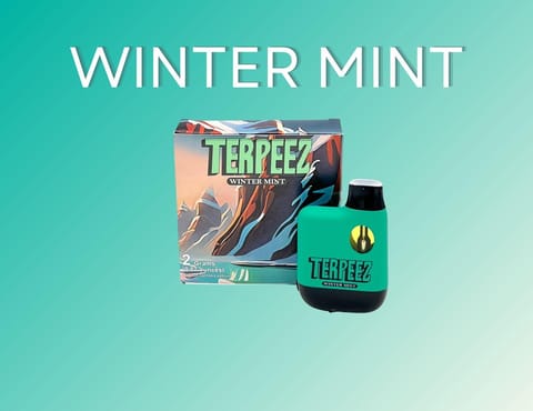 Winter Mint 2g Disposable (Terpeez)