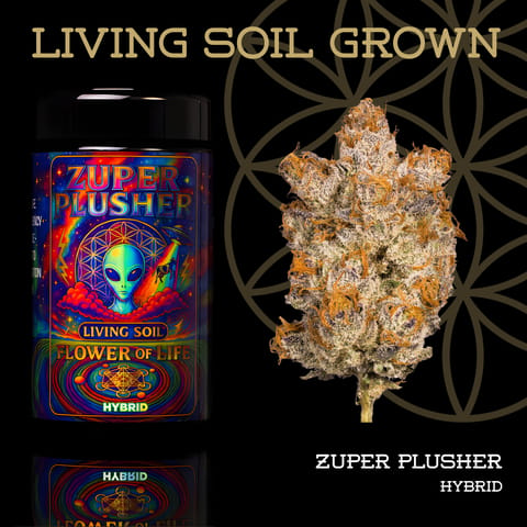 Zuper Plushers 14g Pre Packed Flower Jar | Flower of Life