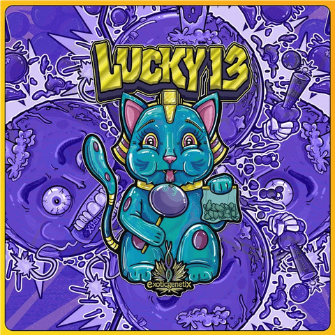 Lucky 13 by Herb’s Garden