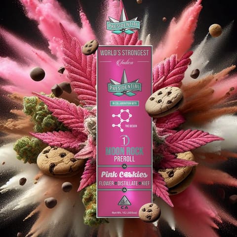 KB - PRESIDENTIAL - INFUSED PREROLL - XJ 13 - 1G