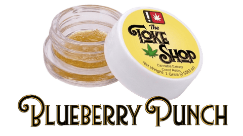 THE TOKE SHOP | CURED RESIN | BLUEBERRY PUNCH | HYBRID | 1 GRAM