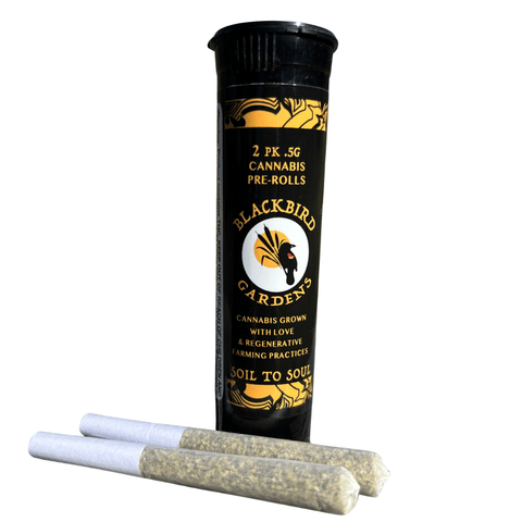 Blackbird Gardens | Galactic Guava | .5g [2pk]