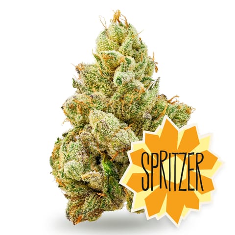 Spritzer - Flower - 3.5g