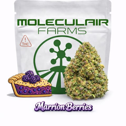 Marrion Berries - Flower - 3.5g