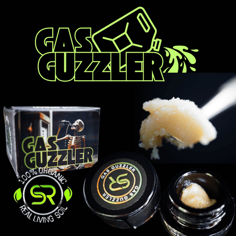 Gas Guzzler 1g Rosin