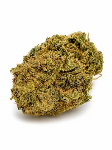Donkey Diesel