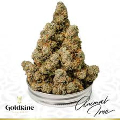 Animal Tree - Goldkine - Bulk Flower