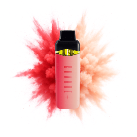 Watermelon Splash x Georgia Pie 2-Strain Disposable Vape - Disposable 2g