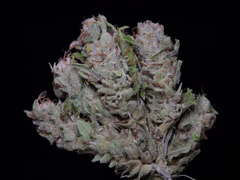 Piff Gas - Flower