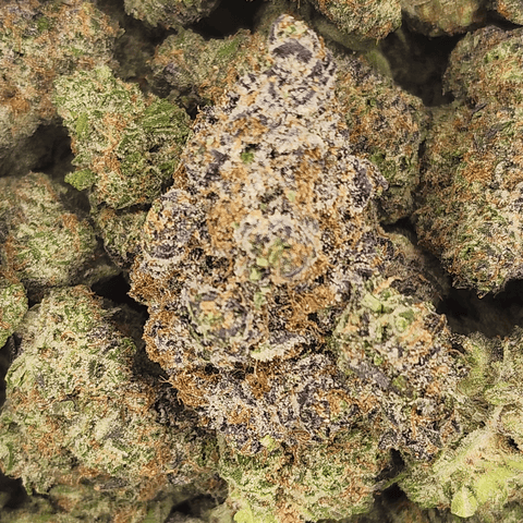 Blueberry Muffin