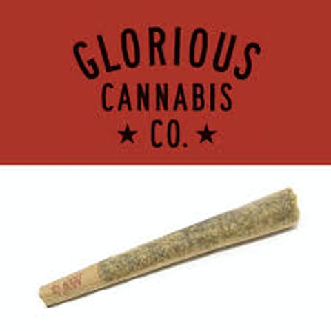 (MED) Glorious Pre-Roll 1g - Black Ice