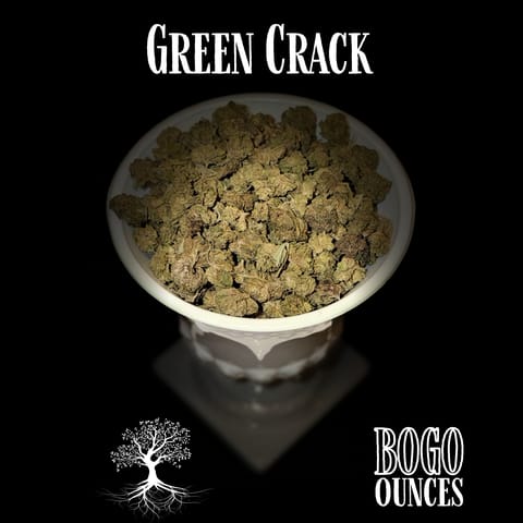 Buds - Green Crack (Outdoor Grow)