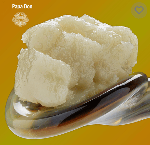Focus North | Papa Don Live Rosin | 1g