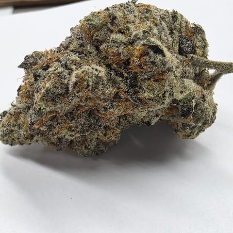 Portal Cannabis | Gas Face