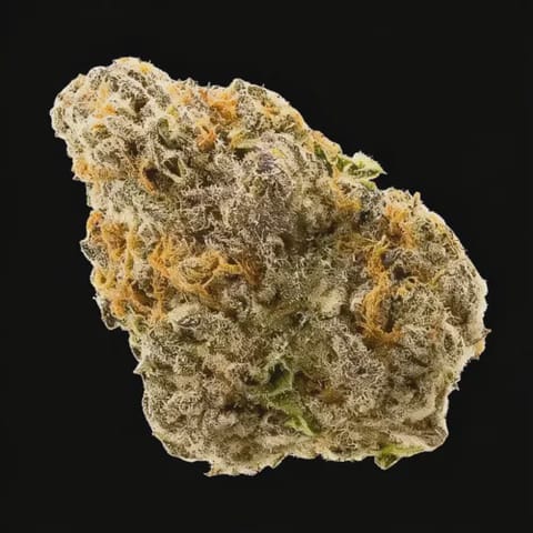 Bubble Gum Poppers | Premium Flower - | 7g