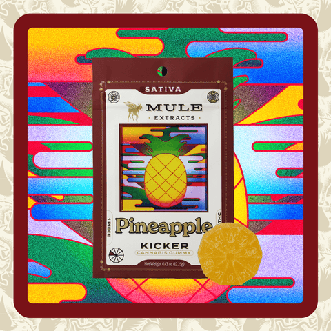 Mule | Pineapple Kicker | 100MG | Single Gummy