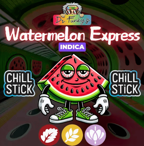 Dr. Funky's | .06 Chill Stick - Watermelon Express