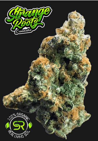 Truffle Treats-Buds
