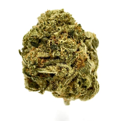 Apricot Haze (H-Gold) - Prepack Shake Grams
