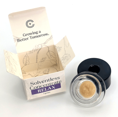 Black Maple - 1g LIVE ROSIN