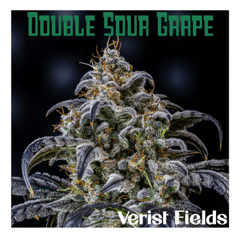 Double Sour Grape - PreRoll 1g