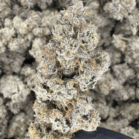 Grapes & Cream