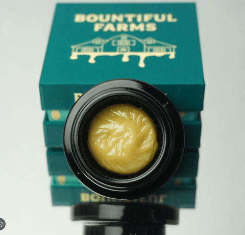 Live Hash Rosin | 1g | Sativa | P-Town Pineapple