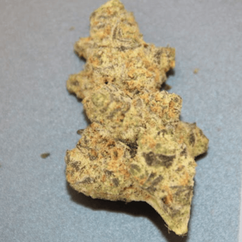 Good Mitten | Bulk | Master Kush