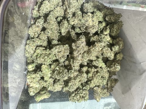 GMO (Resin Ranchers)