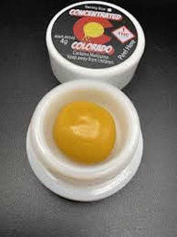 CC BUDDER (H) GREEN BACKS