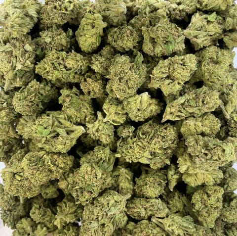 Blueberry Herijuana (Williams Wonder)