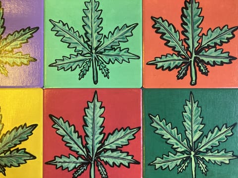 Marijuana Leaf Coaster - (12-Pack)