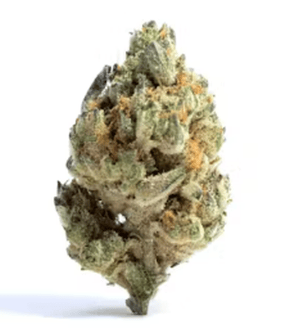 Blackberry Octane "BBO" Deli Flower New 25