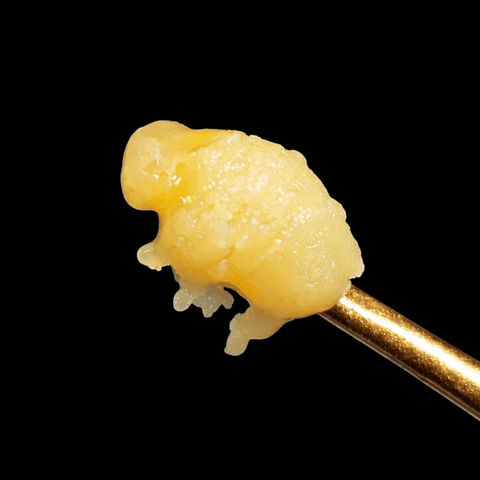 Forb. Runtz - Hybrid - Budder