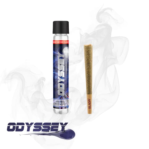 Odyssey 1G PR - King Wilson