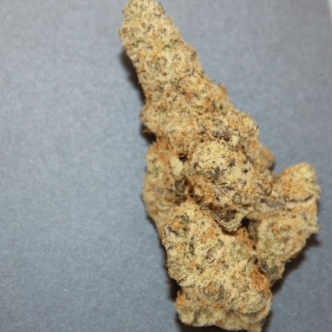 Primo Danks | Bulk | Sector Z