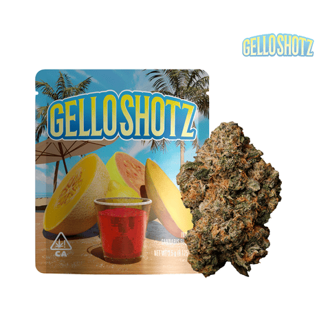 Seed Junky | Gello Shotz (S) 3.5g Premium Indoor Flower