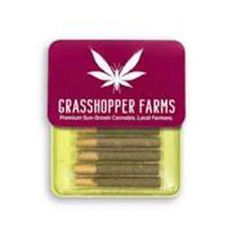 Kush Cake - Grasshopper Farms - Resin Infused - 5x1G**